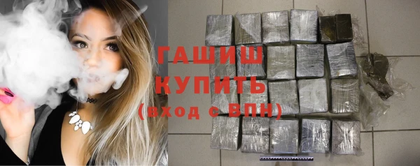 гашик Алексеевка