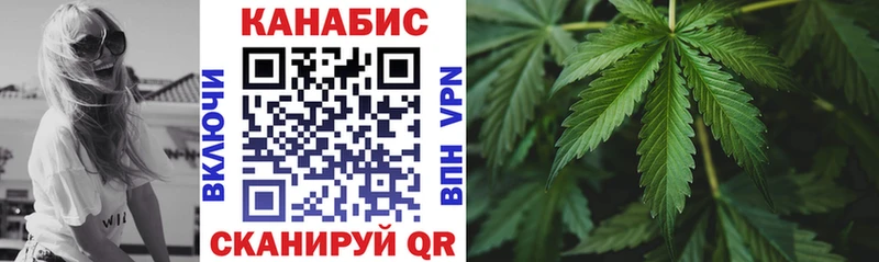 Бошки марихуана VHQ  где можно купить наркотик  блэк спрут ссылки  Адыгейск 